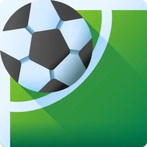Fotbal