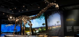 Dinosauria – Muzeum dinosaurů Praha